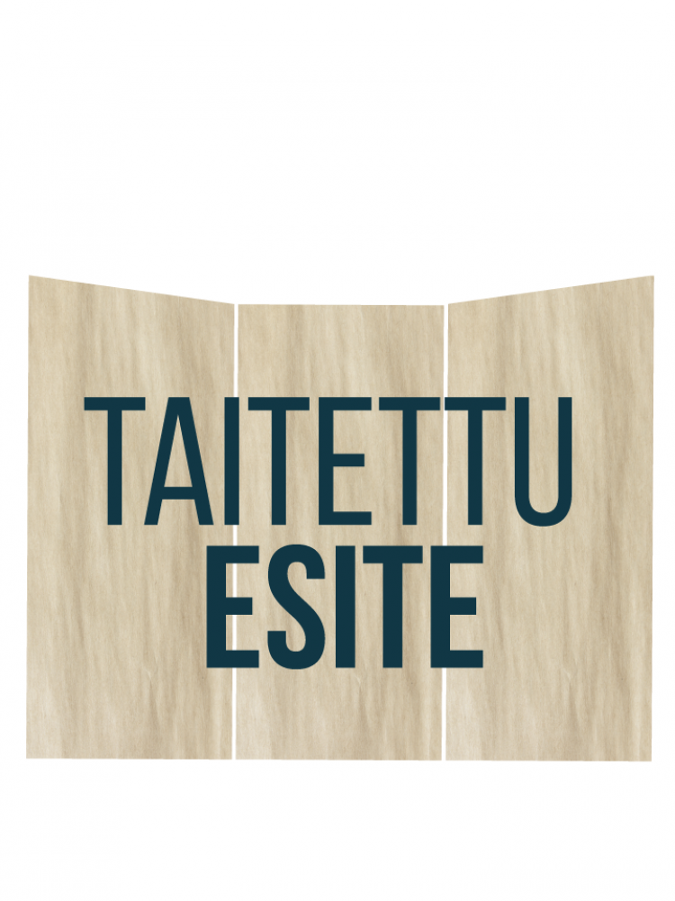 210-644 Flyer 210 x 105 mm kerien/haitari taitto 6 sivua, min. 100 kpl
