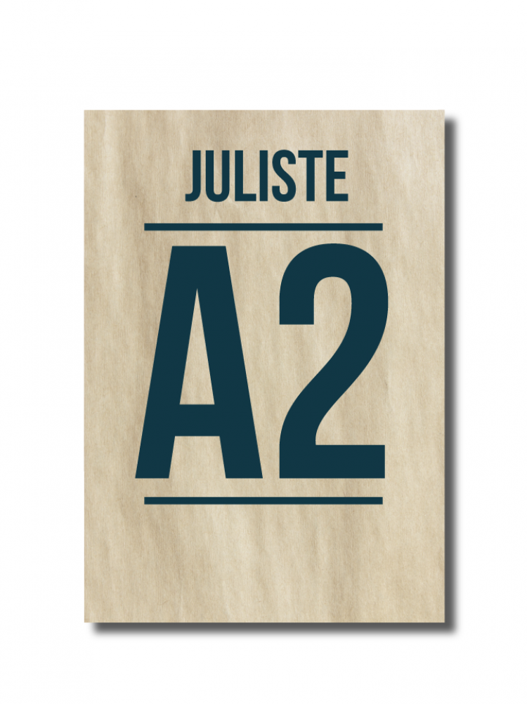 A2-140 Juliste A2 1-puoli  